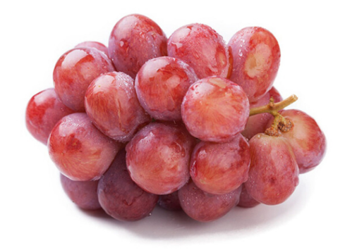 红提葡萄