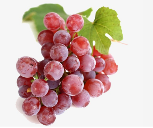 山东 红葡萄
